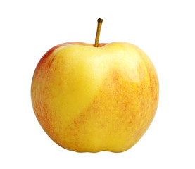 Apple isolated on a white background