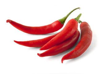 Red hot chilli pepper