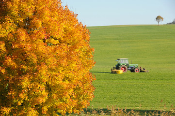 Feldarbeit im Herbst © Petra Reischl-Zehent