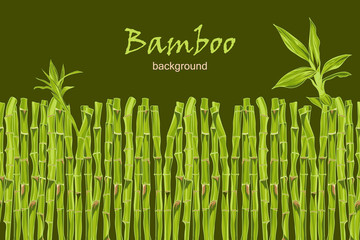 Hand-drawn green bamboo background with space for text