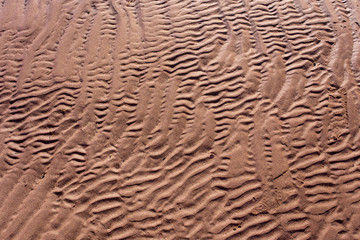 rippled sand patterns; Prince Edward Island, Canada