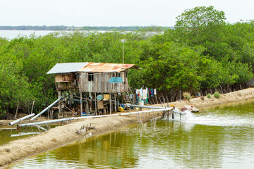 Boost your shrimp farm pump system in Puna Island,Ecuador