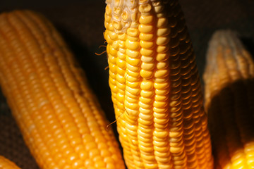 Fresh corn cereal close-up