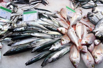 Obraz premium Barcelona fish market