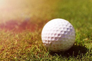 Golf ball on lip of cup on the green golf course, close up