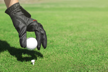 Hand in black glove with golf ball on green grass background