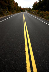 Algonquin Park Muskoka Ontario Road