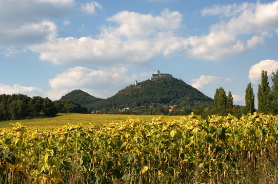 Castle and hills  Bezdez in northern Bohemia, Czech republic