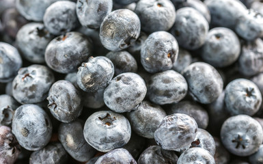 Fresh blueberries
