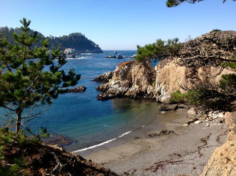 Point lobos