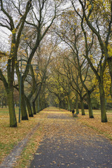 Jesień © Piotr Szpakowski