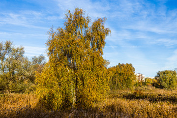 Naklejka premium rostocker park