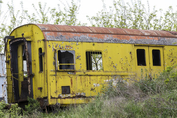 Fototapeta premium Old and abandoned passenger train wagons in nature