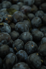 Fresh blue plums on the counter of the store.