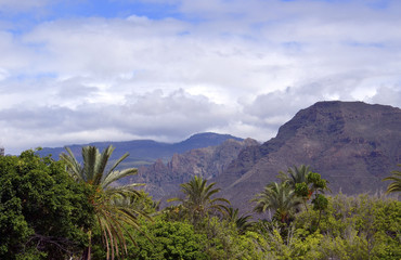 Mountain landscape with tropical trees,Tenerife,Canary Islands.