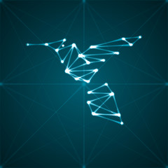 Abstract hummingbird illustration © majcot