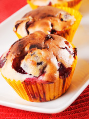 Cranberry cupcakes