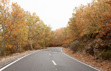 Empty road in autumn
