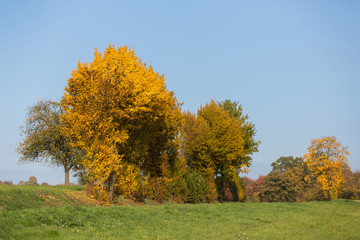 Naklejka premium Herbstimpression