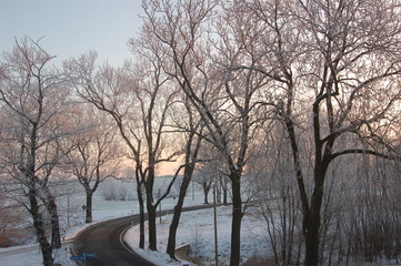 Winterlandschaft in Mecklenburg-Vorpommern, Allee