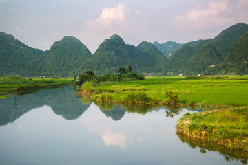 Fototapeta na wymiar River and rice field in vietnam