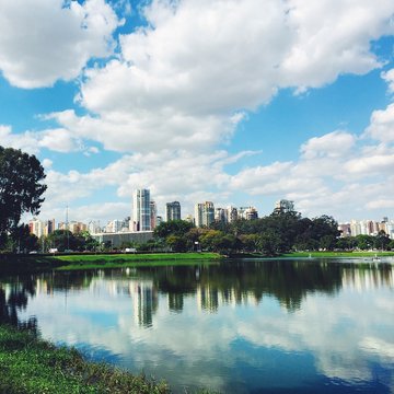 Looking Across Ibirapuera Park.