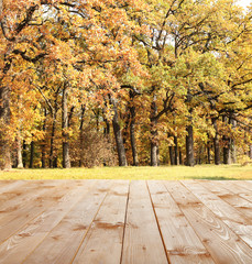 Fototapety  Piękny jesienny las. Tło natury