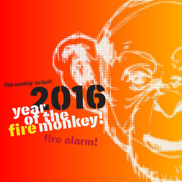 Monkey new year illustration
