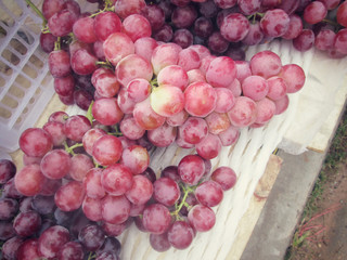 Fresh grapes