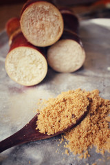 Brown sugar with sugar cane