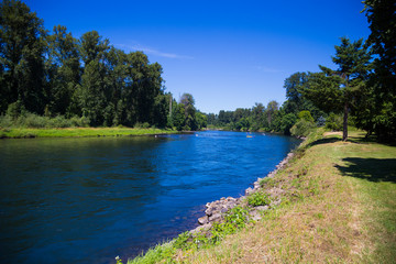 McKenzie River in Springfield Oregon