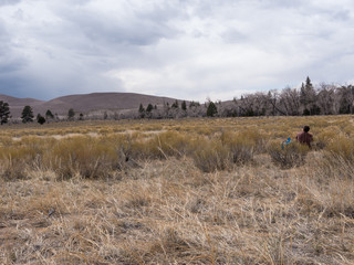 Backpacker Sits and Stares at Dunes at Great Sand Dunes National