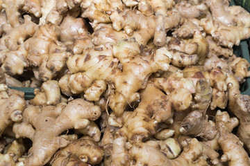 fresh ginger in the market
