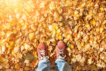 Feet standing on fallen autumn leaves