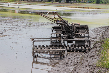 Fototapeta premium tractors in the muddy paddy 