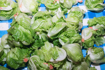 Fresh lettuce leaves, close up
