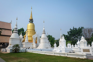 Fototapeta premium golden pagoda in wat suan dok temple, chiang mai, thailand