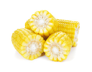 corn isolated on white background