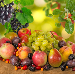 Image of fruits and berries