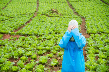 Girls wearing gas masks in farm lettuce on a rainy day