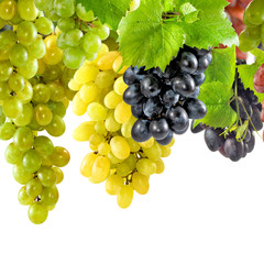 grapes on a white background