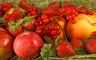 image of many fruits
