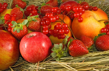 image of many fruits