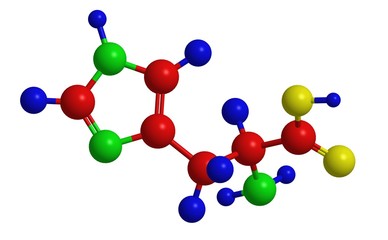 Molecular structure of histidine