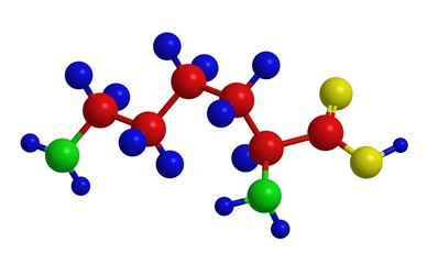 Molecular structure of lysine