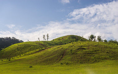 green grass moutain in rainy season