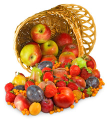  different fruits in a basket closeup
