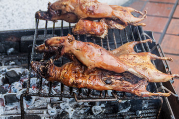 Roasted guinea pigs on a market in Banos de Agua Santa, popular tourist destination in Ecuador