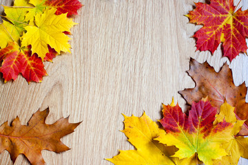 Naklejka na ściany i meble frame of autumn leaves