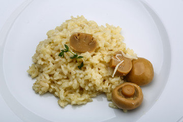Risotto with mushroom
